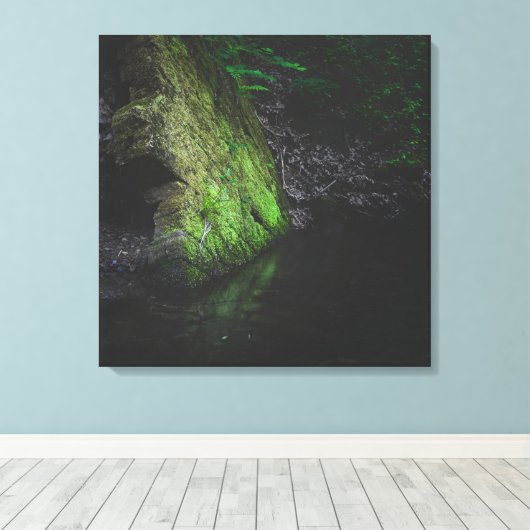 Groene mossy rots met reflectie in water canvas afdruk (Insitu (Houten vloer))