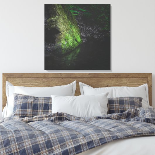 Groene mossy rots met reflectie in water canvas afdruk (Insitu (Slaapkamer))