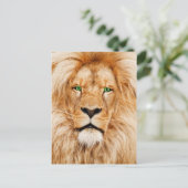 Groene ogen Lions gezicht Briefkaart (Staand voorkant)