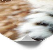 Groene ogen! poster (Hoek)