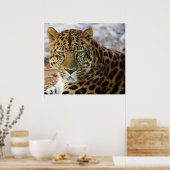 Groene ogen! poster (Keuken)