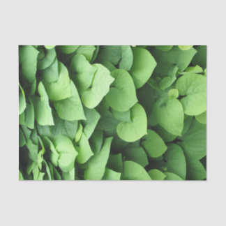 Groene olievloeistof voor de Nederlandse pijpleidi Tissuepapier