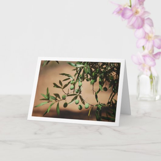 Groene olijven die aan de olijfboom hangen kaart (Orchidee)