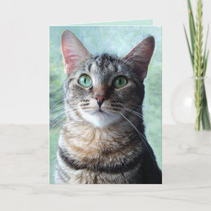 Groene-Oog Tabby Lege Kaart
