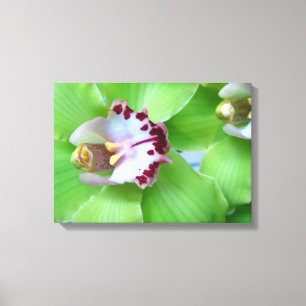 Groene Orchideeën Canvas Afdruk