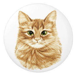 Groene Oyes Ginger Cat Drawer Pulls Knollen Keramische Knop