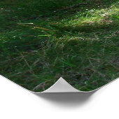 Groene pad poster (Hoek)