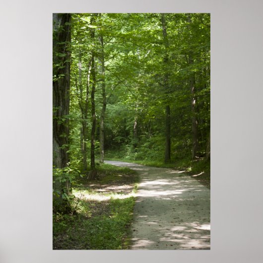 Groene paden 13 Poster (Voorkant)