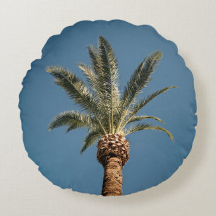 Groene palmboom onder blauwe hemel 's ochtends rond kussen
