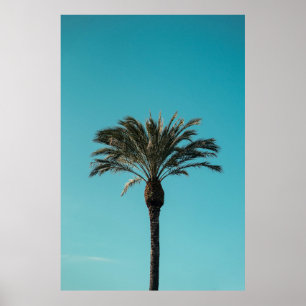 Groene palmboom poster