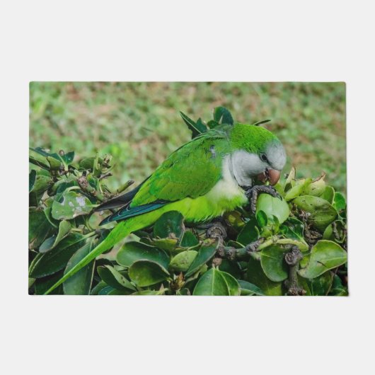 Groene papegaai deurmat (Voorkant)