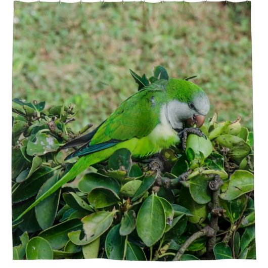 Groene papegaai douchegordijn (Voorkant)