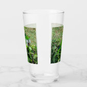 Groene papegaai glas (Links)
