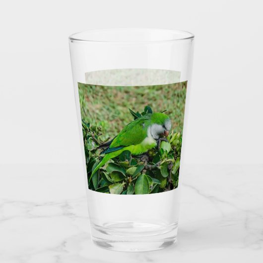 Groene papegaai glas (Voorkant)