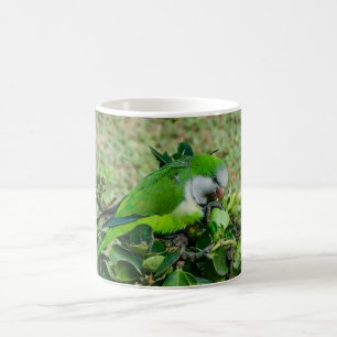 Groene papegaai koffiemok