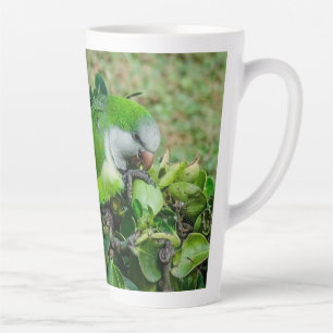 Groene papegaai latte mok