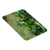 Groene papegaai magneet (Rechterzijde)