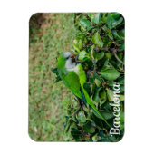 Groene papegaai magneet (Verticaal)