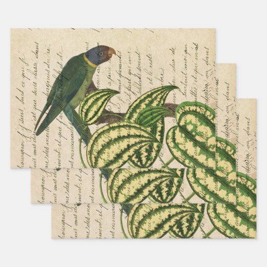 Groene papegaai op vertakking en bladeren inpakpapier vel (Set)