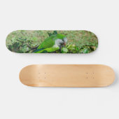 Groene papegaai skateboard (Horizontaal)