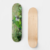 Groene papegaai skateboard (Voorkant)