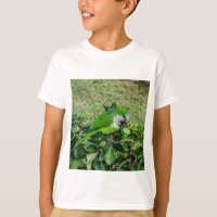 Groene papegaai