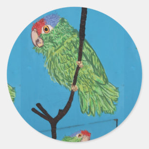 groene papegaaimelaar ronde sticker