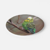  groene paraket foto papieren bordje (Gekanteld)