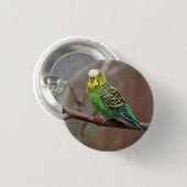  groene paraket foto ronde button 3,2 cm (Voorkant /achterkant)