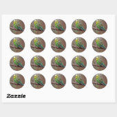  groene paraket foto ronde sticker (Vel)