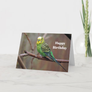  Groene Parkiet Foto Verjaardag Kaart