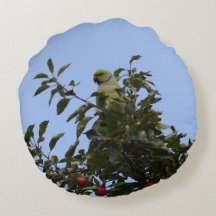 Groene Parkiet