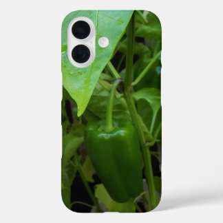 Groene Peppers iPhone 16 Hoesje
