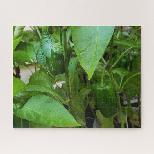 Groene Peppers Legpuzzel (Horizontaal)