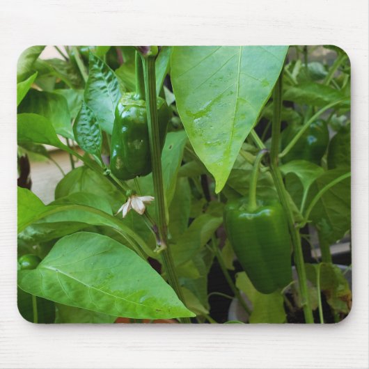 Groene Peppers Muismat (Voorkant)