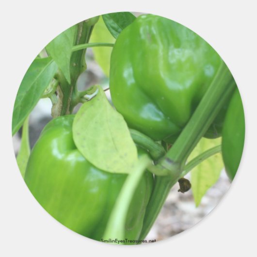 Groene Peppers Tuin Natuur Foto Sticker Label (Voorkant)