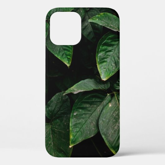 GROENE PLANT OP FOCUS FOTOGRAFIE Case-Mate iPhone CASE (Achterkant)