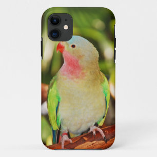 Groene prinsesparkiet iPhone 11 hoesje