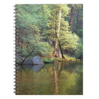 Groene reflecties notitieboek