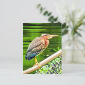Groene reiger briefkaart (Staand voorkant)