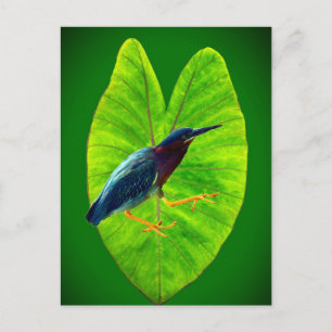 Groene reiger feestdagenkaart