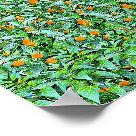 Groene rijen - Verborgen 3D print (Hoek)