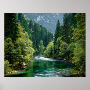 Groene Rivier Berg Muurkunst – Natuur Bos Landscha Poster