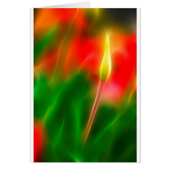 Groene, rode en gele Tulp Glow (Voorkant)