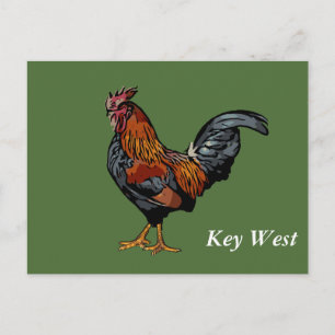 Groene Rooster Key West Post Kaart