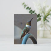 Groene Ruby kleine Hummingbird Briefkaart (Staand voorkant)