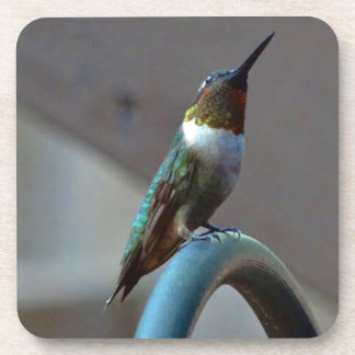 Groene Ruby kleine Hummingbird Drankjes Onderzetter