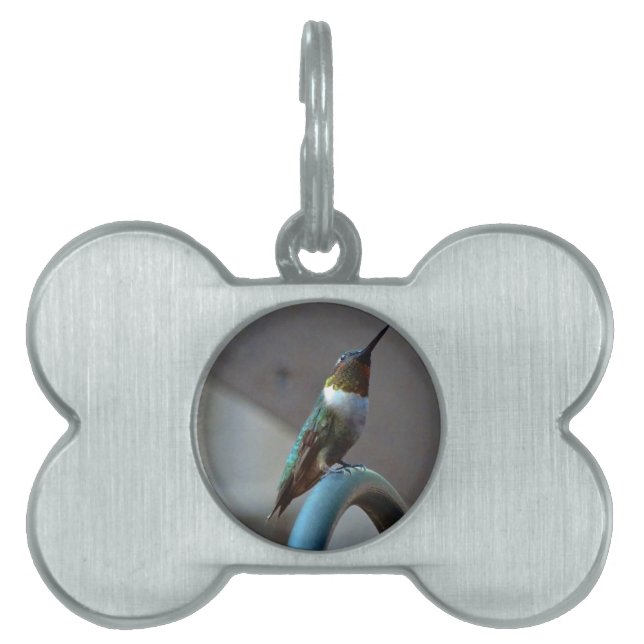 Groene Ruby kleine Hummingbird Huisdieren Naamplaatje (voorkant)