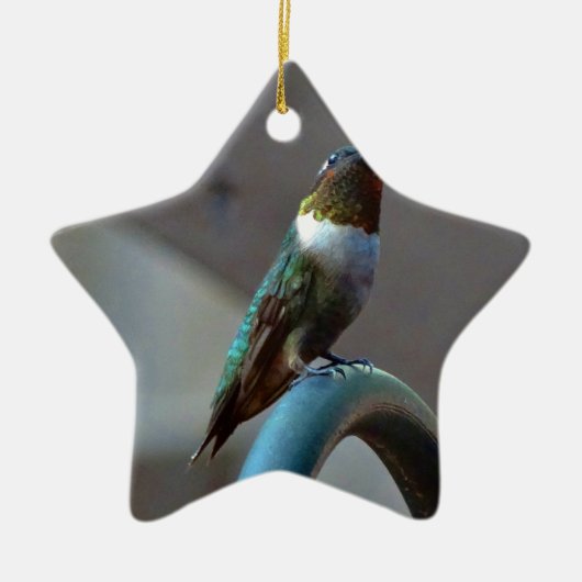 Groene Ruby kleine Hummingbird Keramisch Ornament (Voorkant)