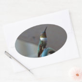 Groene Ruby kleine Hummingbird Ovale Sticker (Envelop)